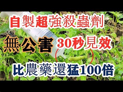 納乃得功用 风水罗汉松